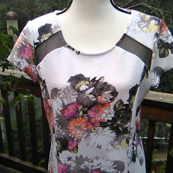 INC International Concepts Sheath Dress with Sheer Net Details - Picture 3 of 10